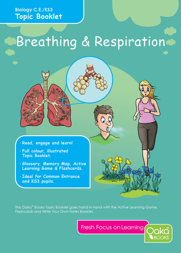 Key stage 3 respiration revision